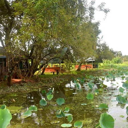 Meegahapokuna Resort アヌラーダプラ エクステリア 写真