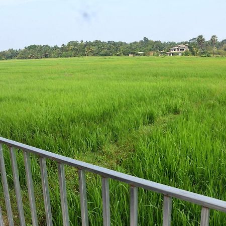 Meegahapokuna Resort アヌラーダプラ エクステリア 写真