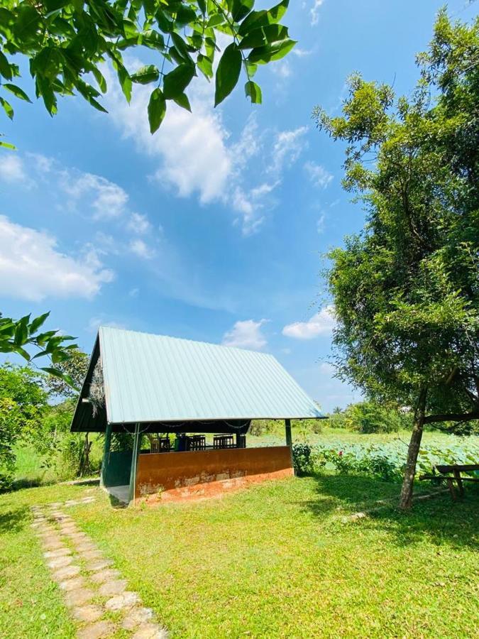 Meegahapokuna Resort アヌラーダプラ エクステリア 写真