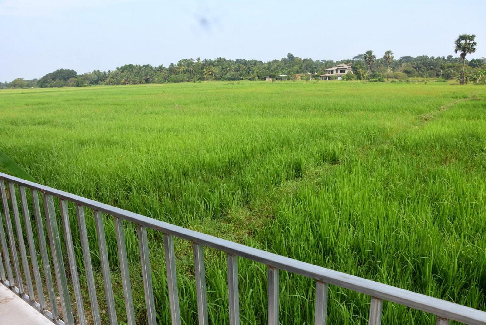 Meegahapokuna Resort アヌラーダプラ エクステリア 写真