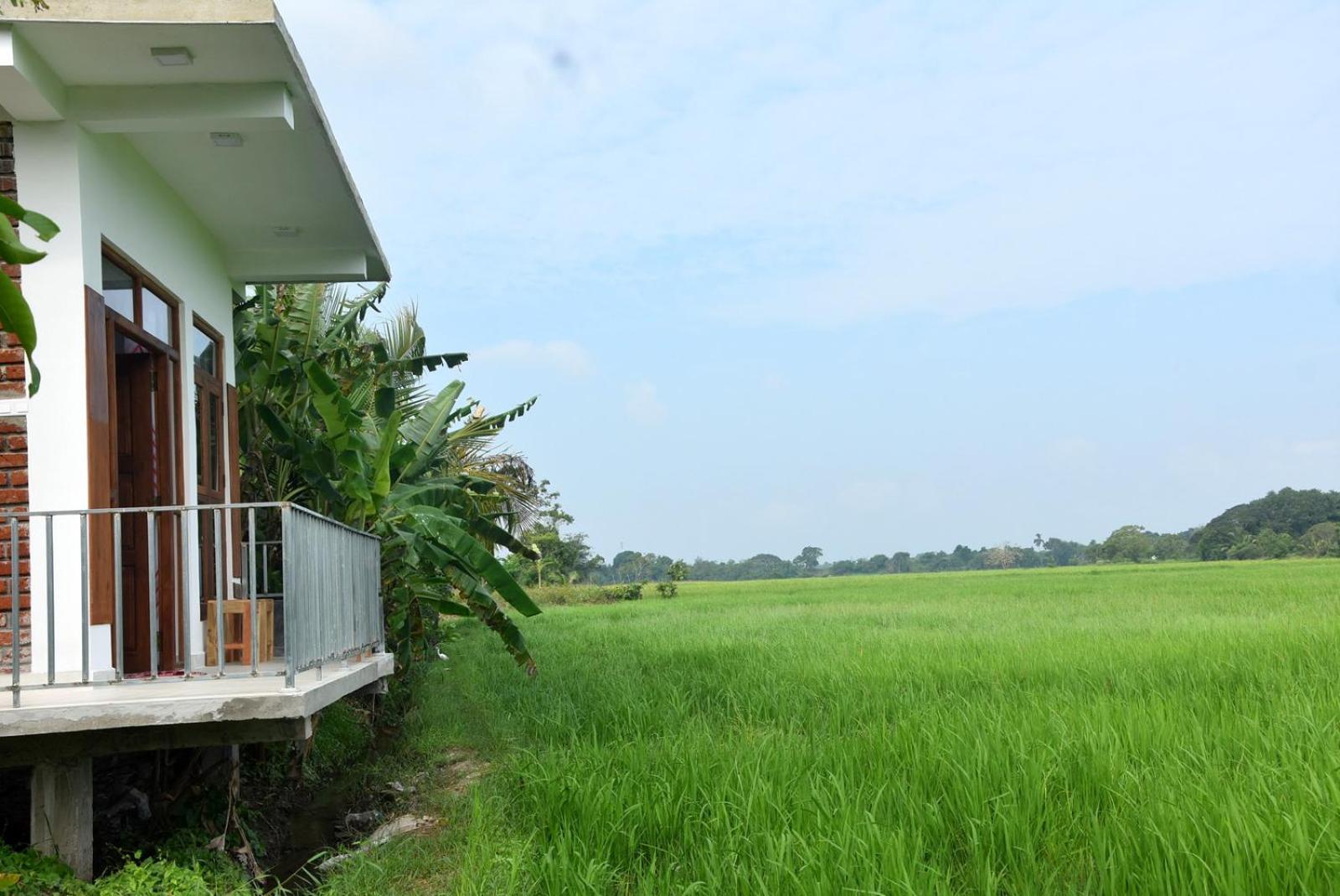 Meegahapokuna Resort アヌラーダプラ エクステリア 写真